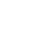 shebizsuccess logo